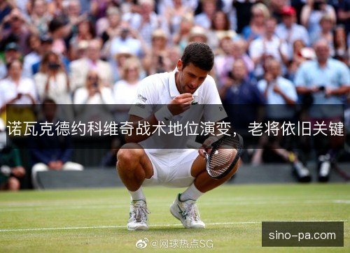 诺瓦克德约科维奇战术地位演变，老将依旧关键